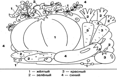 Витамины на столе раскраска