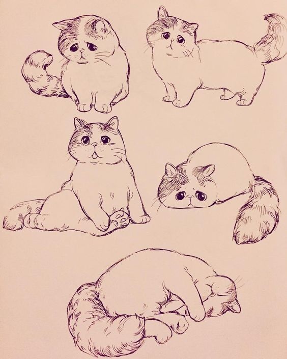 Милые картинки котят для срисовки карандашом (1)