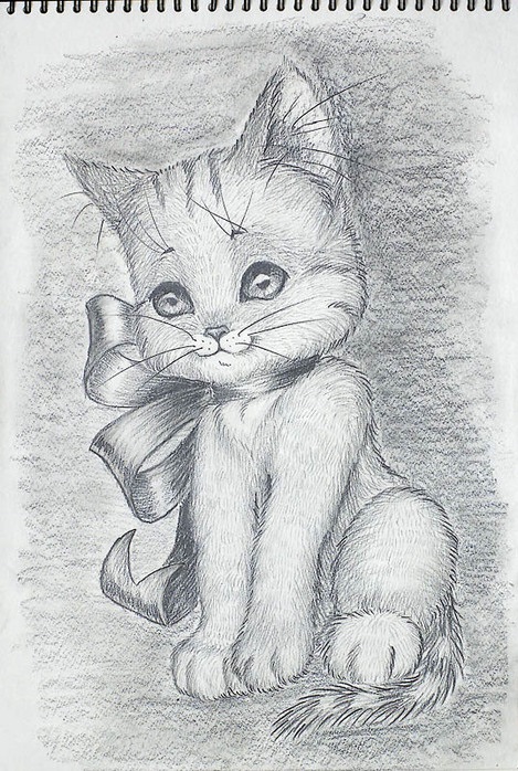 Милые картинки котят для срисовки карандашом (13)