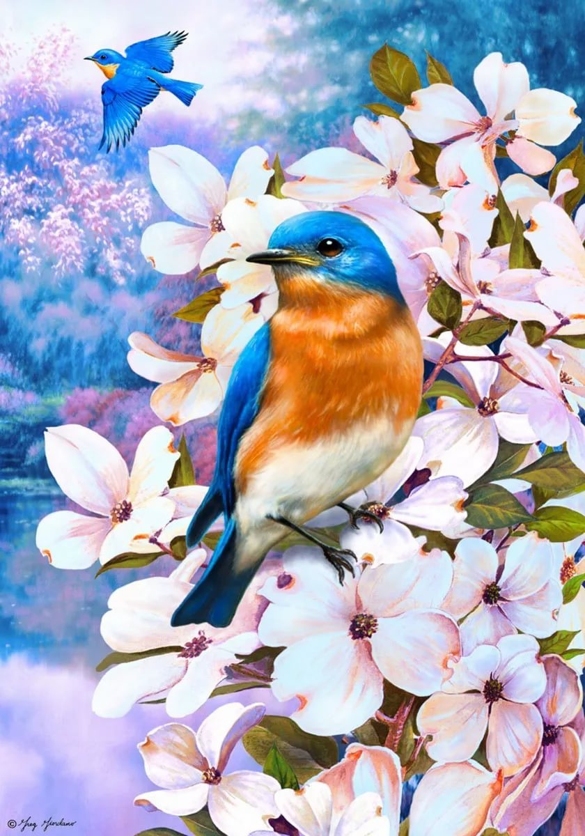 Фото Весны Красивые Природа