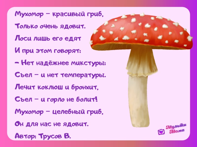 Интересные стихи с картинками про грибы (13)