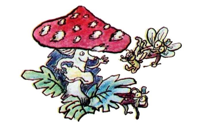 Интересные стихи с картинками про грибы (2)