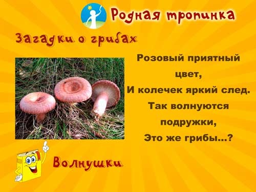Интересные стихи с картинками про грибы (4)