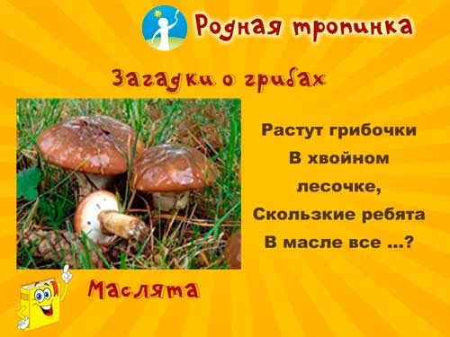 Интересные стихи с картинками про грибы (5)
