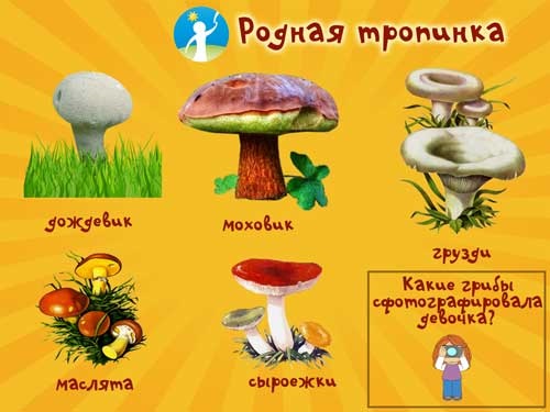 Интересные стихи с картинками про грибы (6)