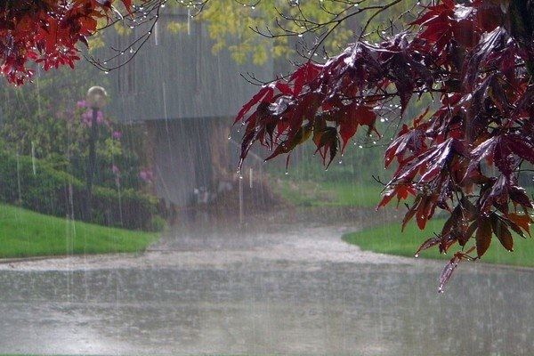 Дождливая погода осенью фото (1)