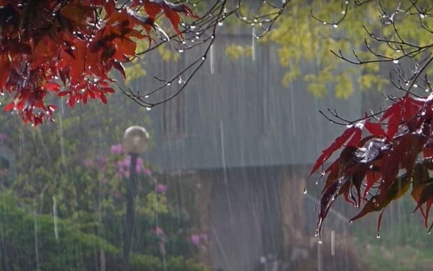 Дождливая погода осенью фото (6)