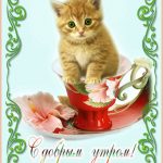 Милые открытки с добрым утром котенок (15)
