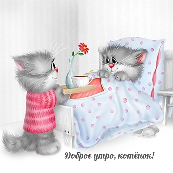 Милые открытки с добрым утром котенок (5)