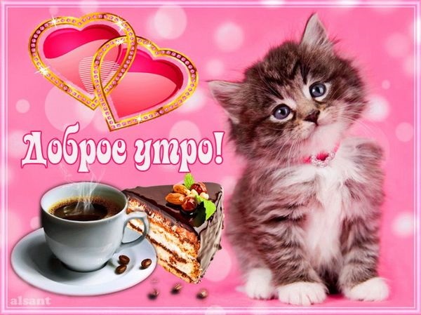 Няшные открытки котята с добрым утром (13)