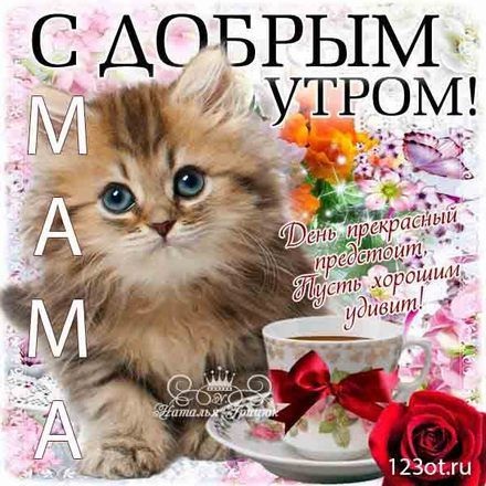 Няшные открытки котята с добрым утром (14)
