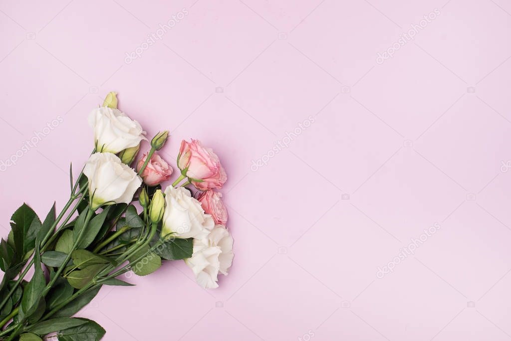 Цветы на розовом фоне   красивые фото (13)
