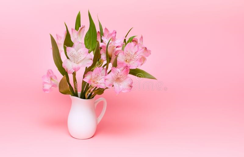 Цветы на розовом фоне   красивые фото (28)
