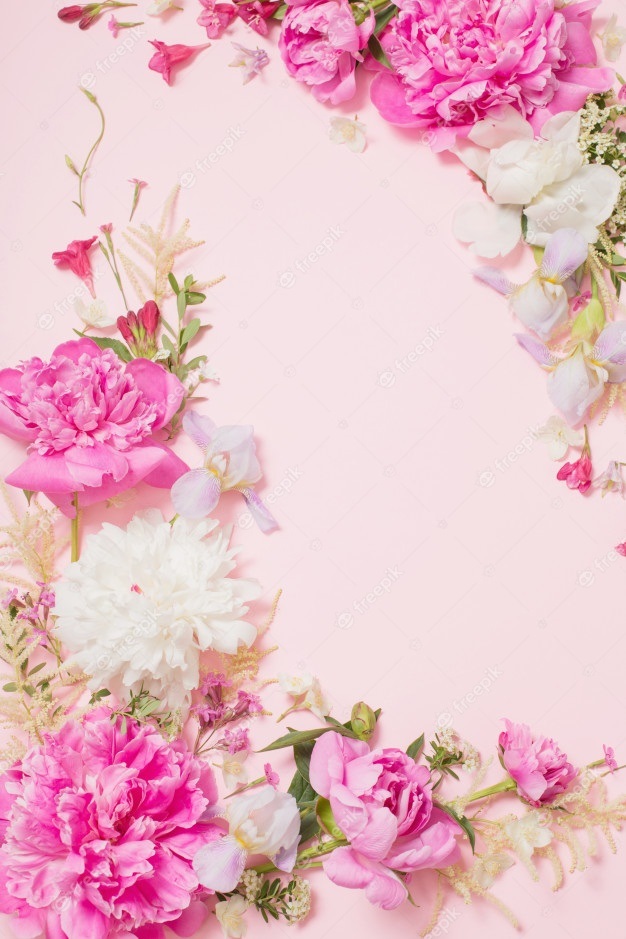Цветы на розовом фоне   красивые фото (5)