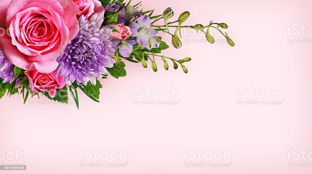 Цветы на розовом фоне   красивые фото (7)