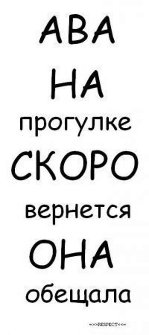 Прикольные картинки на аву с надписями смешные