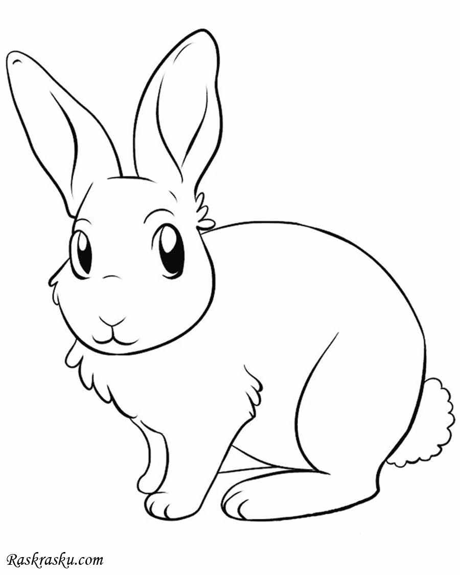 Рисунки пасхального кролика для печати и раскраски 12