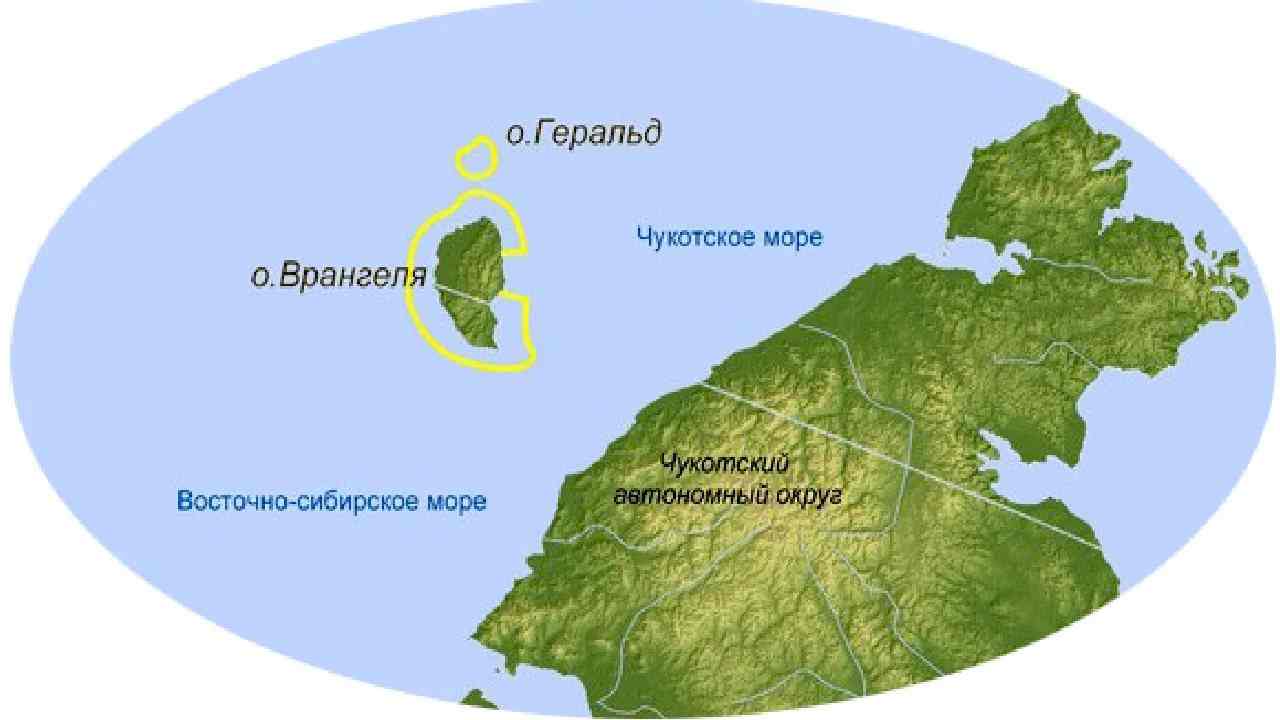 Остров врангеля на карте россии фото