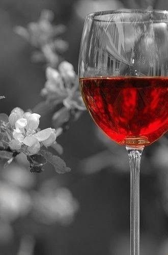 Красивые фото розы и вино   отличная подборка (22)