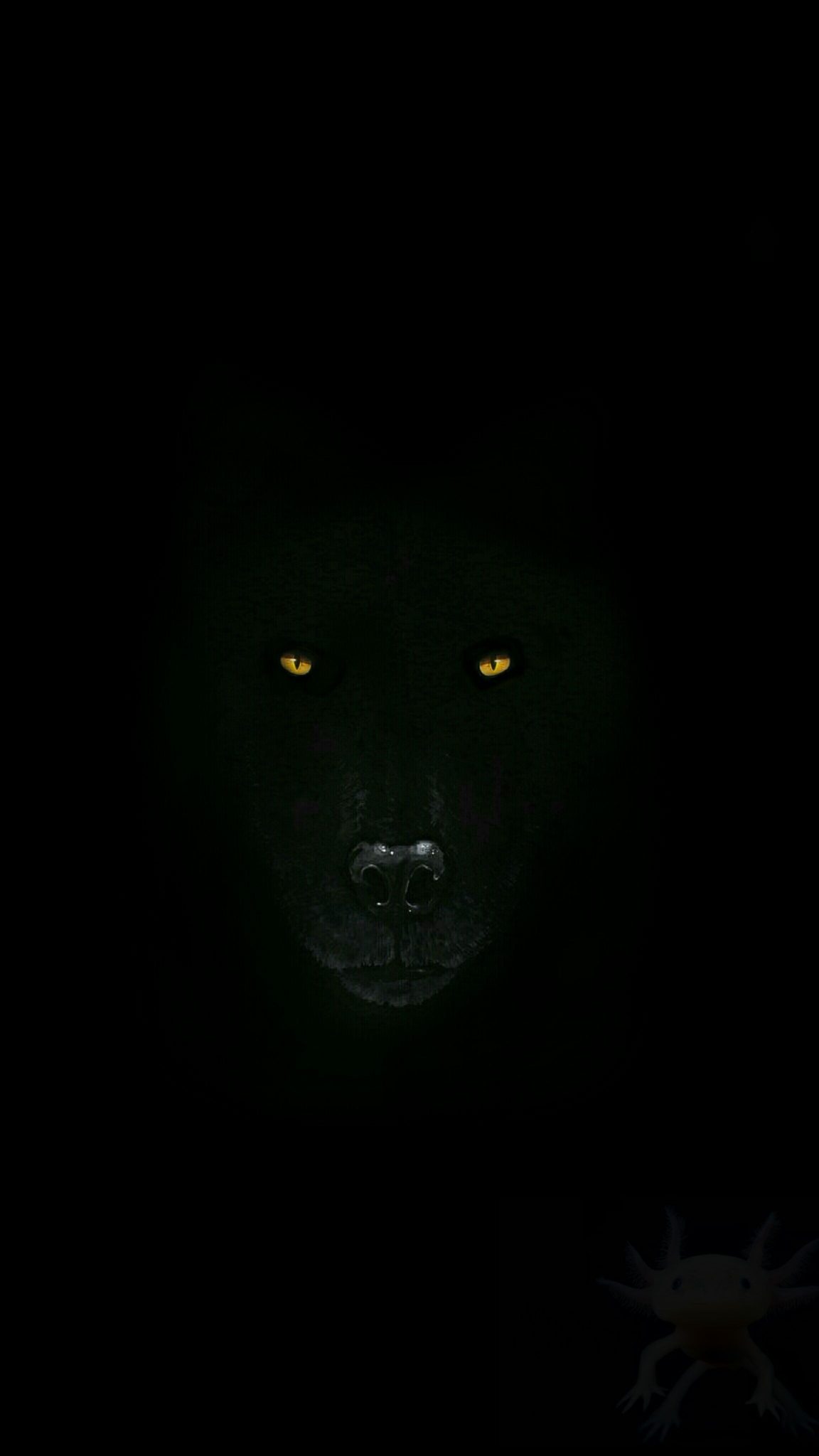 Черный волк в темноте