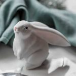 Интересные идеи подарков на год кролика 2023 11