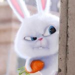 Картинки кролика снежка из мультфильма 14