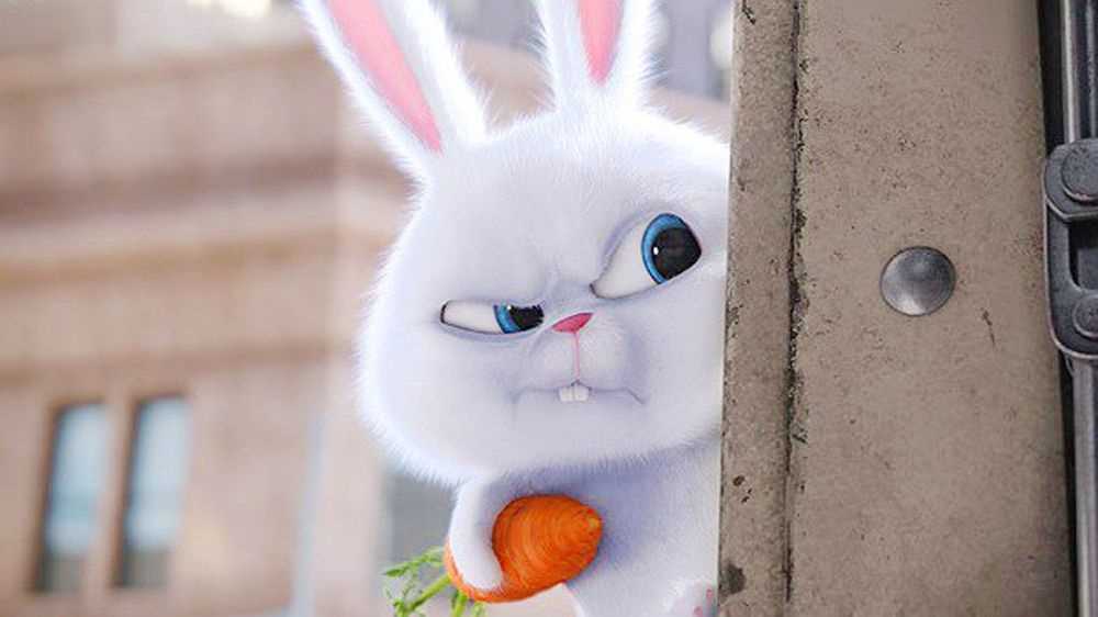 Картинки кролика снежка из мультфильма 14