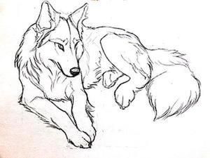 Милые картинки для срисовки волка карандашом (24)