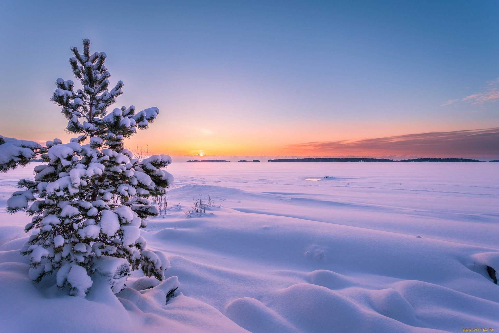 Заснеженное поле