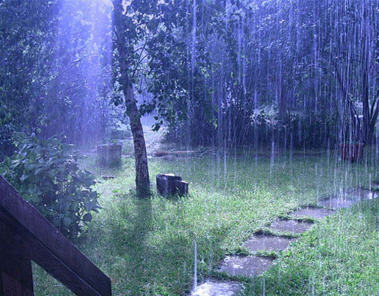 Если ночью дождь напролет утром ярче заря. Дождь. Дождь в саду. Лето дождь. Летний дождь в саду.