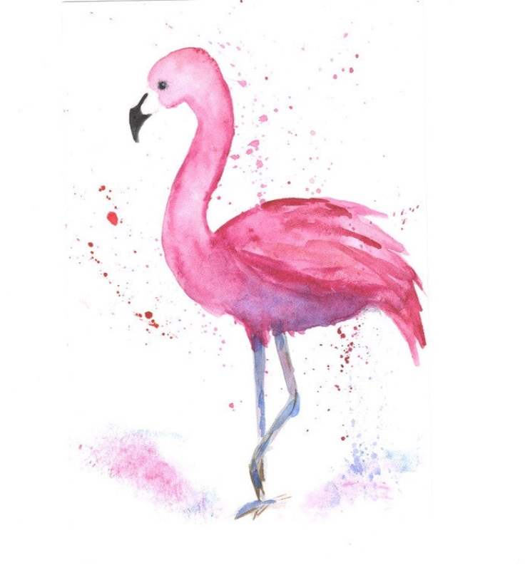 Фламинго легко. Фламинго рисунок для срисовки. Картинки Фламинго для срисовки. Фламинго рисунок красками. Фламинго карандашом.