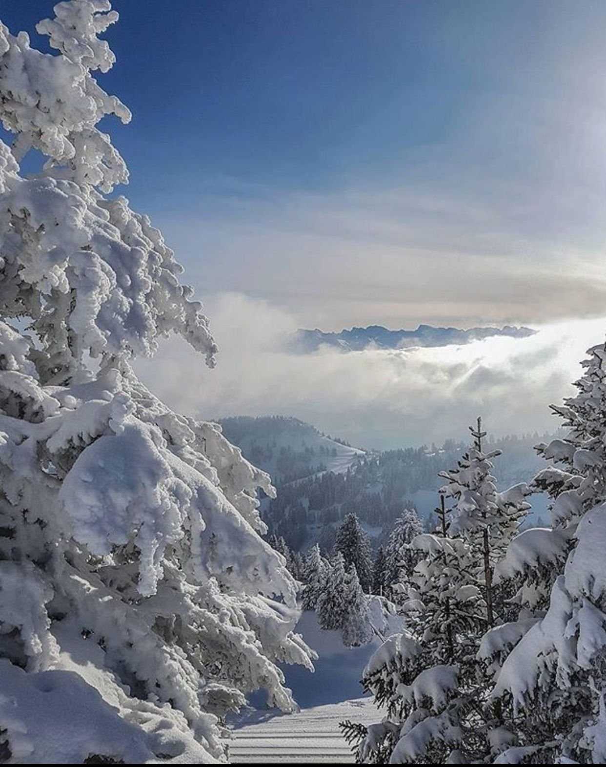 Снег пейзаж фото