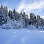 Зимние пейзажи с заснеженными деревьями 014