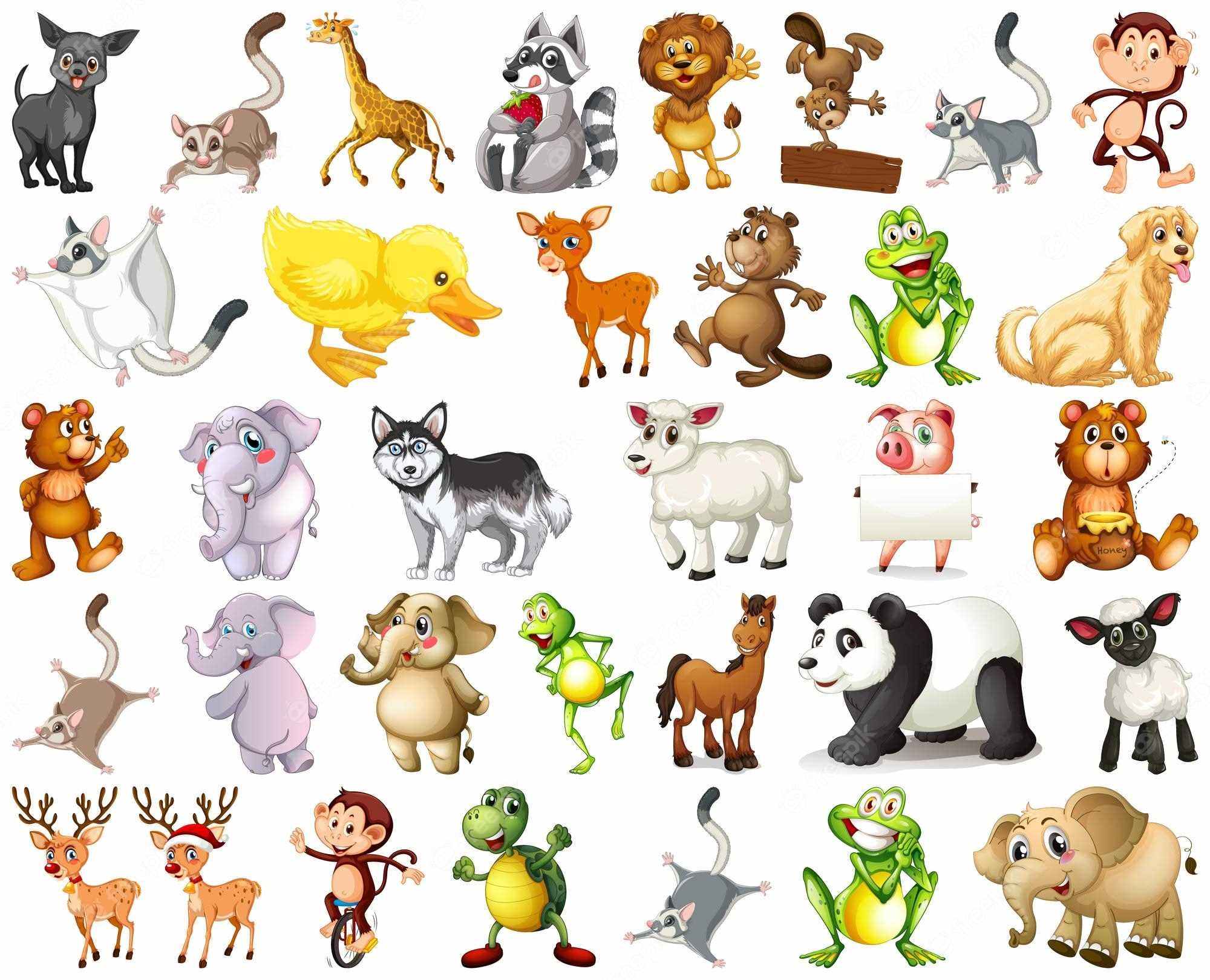 Иллюстрации животных для детей 011