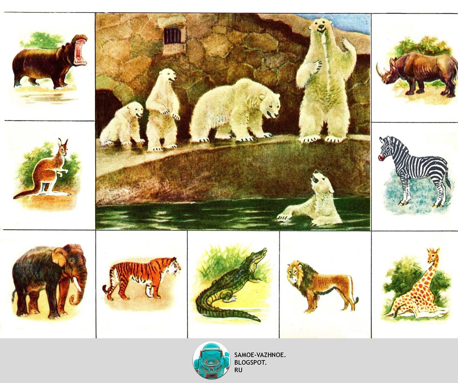 Картинки для детей с животными в зоопарке 004