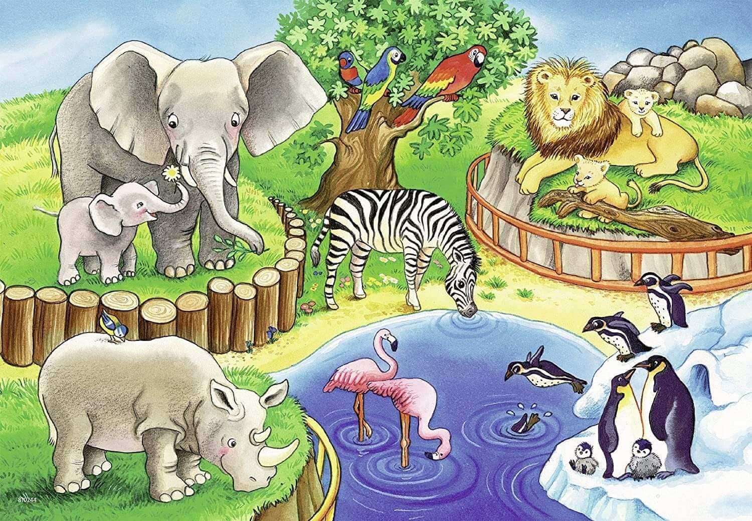 Картинки для детей с животными в зоопарке 012
