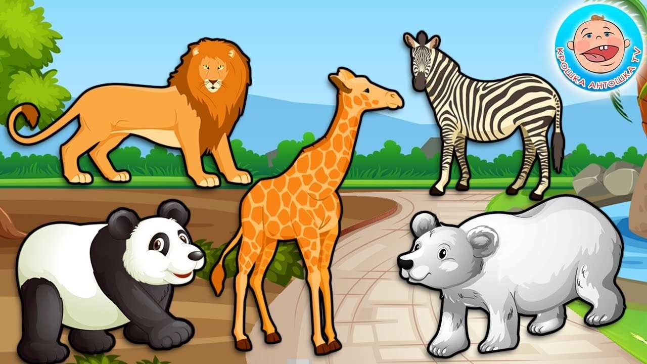 Картинки для детей с животными в зоопарке 015