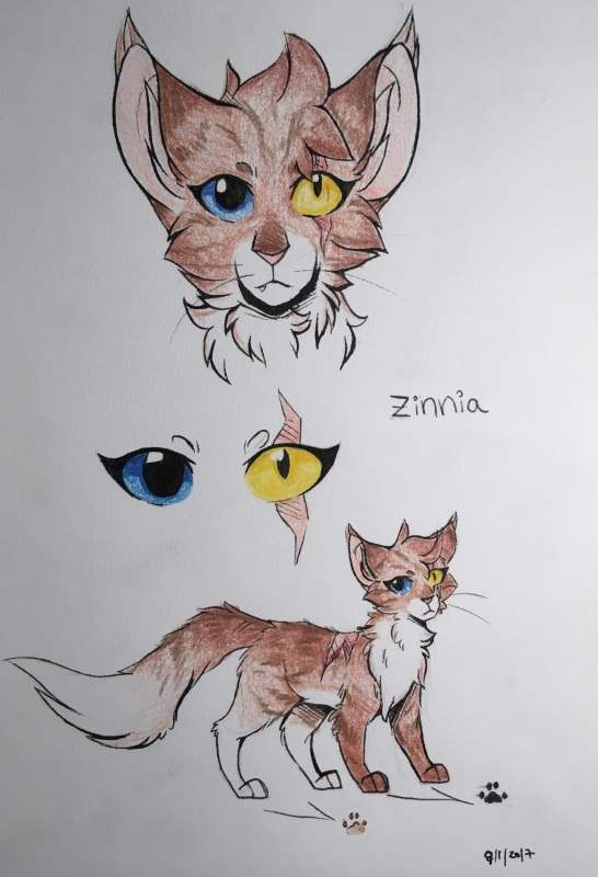 Красивые рисунки Коты Воители для рисования 012