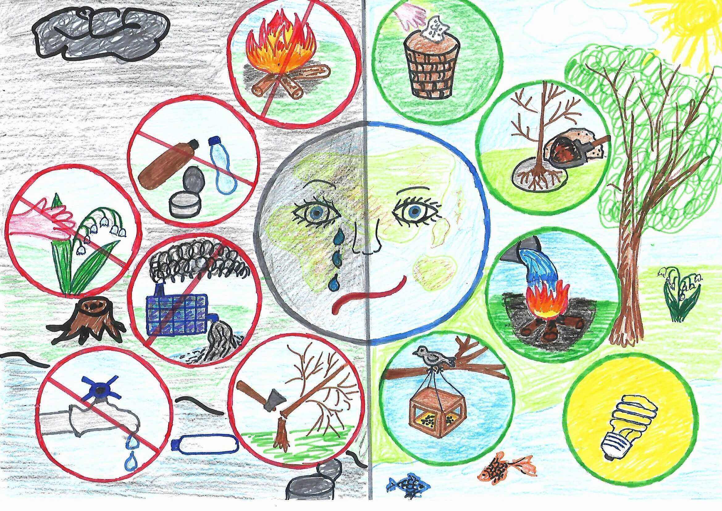 Красивые рисунки для детей о природе 012