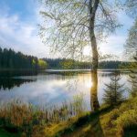 Красивые фото весенней природы с озером 017