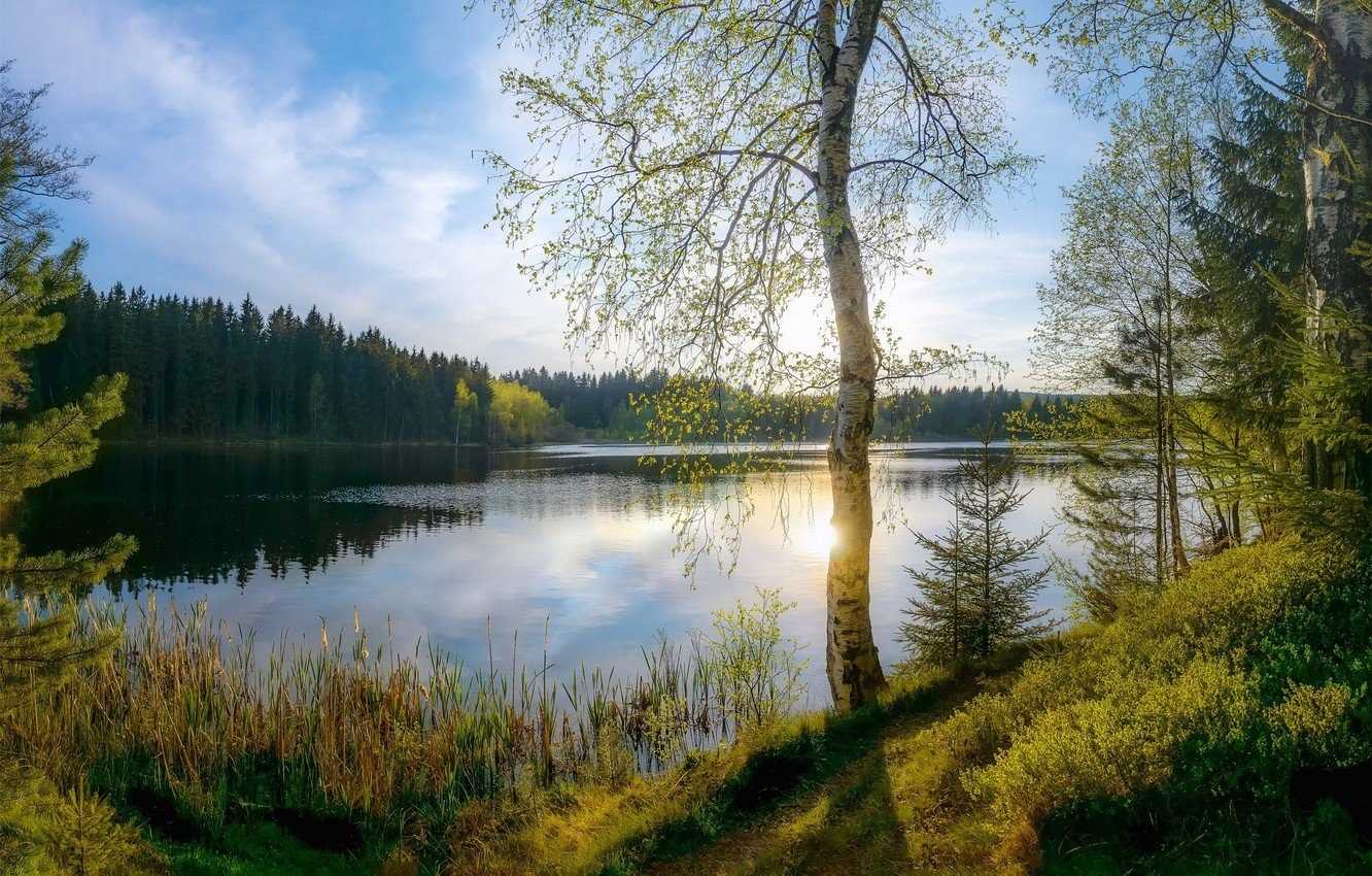 Красивые фото весенней природы с озером 017
