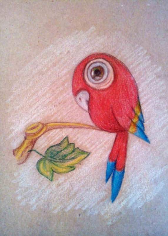 Необычные рисунки попугаев для рисования 011