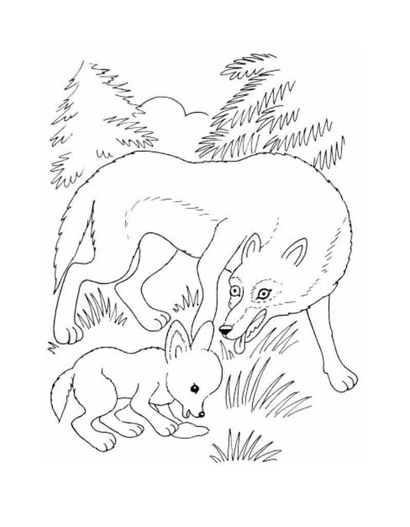 Простые раскраски для детей с животными в лесу 006