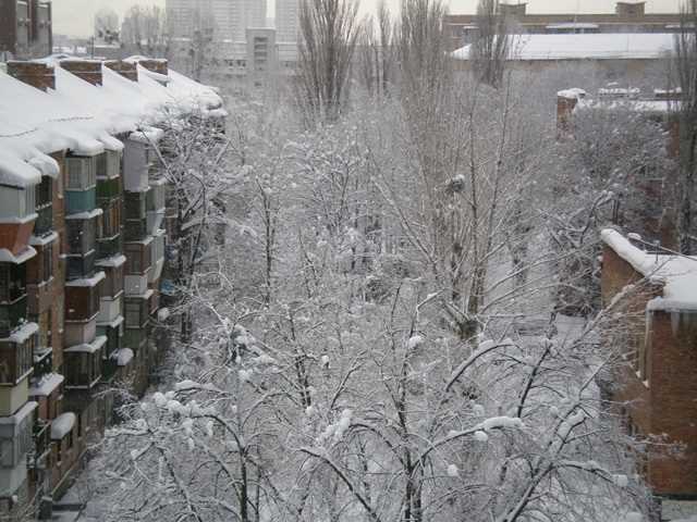 Утренний снег в городе 008