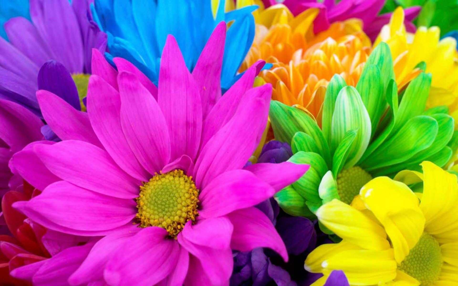 Фотографии для аватарок с весенними цветами 003