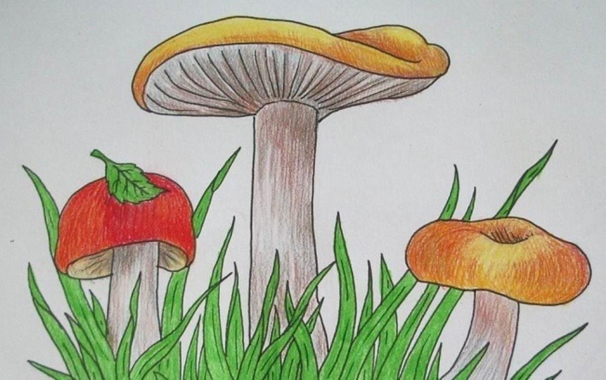 Рисунок гриба 5 класс. Рисунки грибов. Гриб рисунок. Рисование с детьми грибы. Рисунки для срисовки грибы.