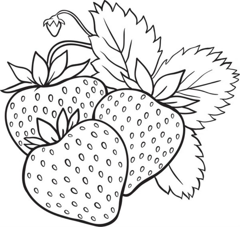 Как нарисовать рисунки ягод для срисовки 017
