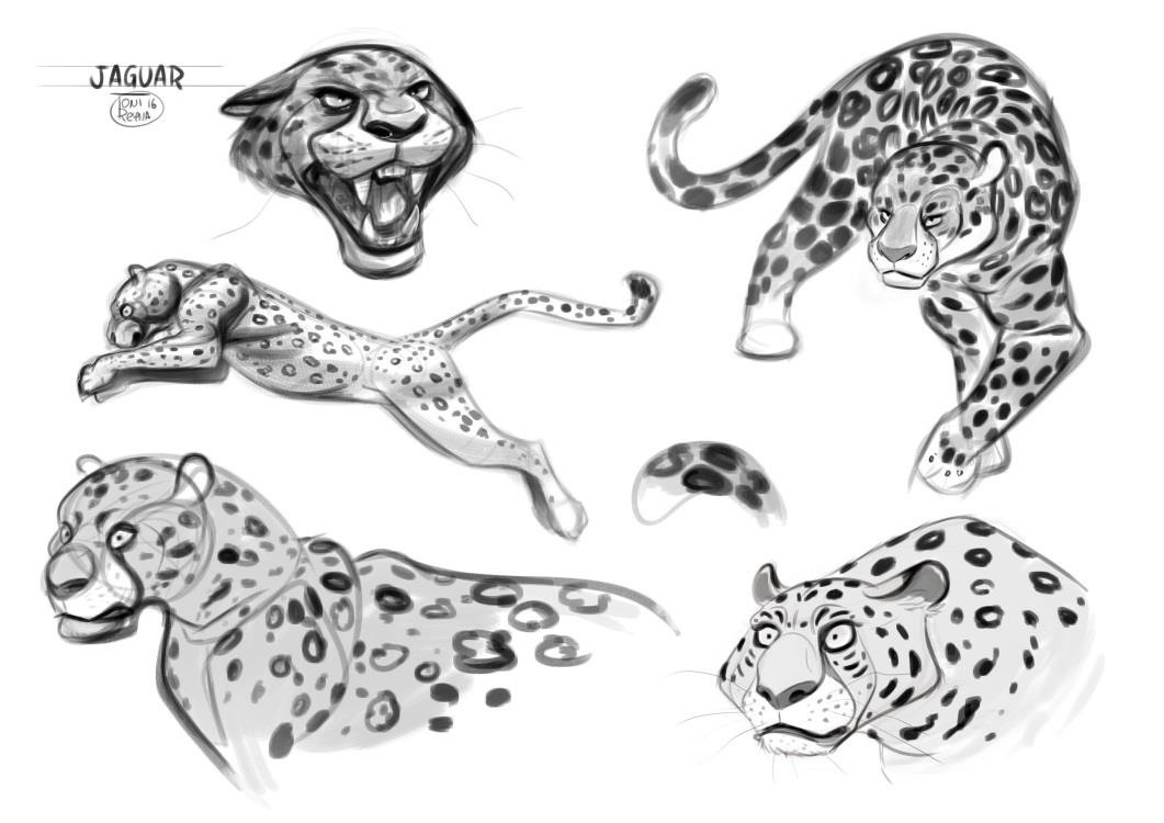 Крутые рисунки ягуара для срисовки 012