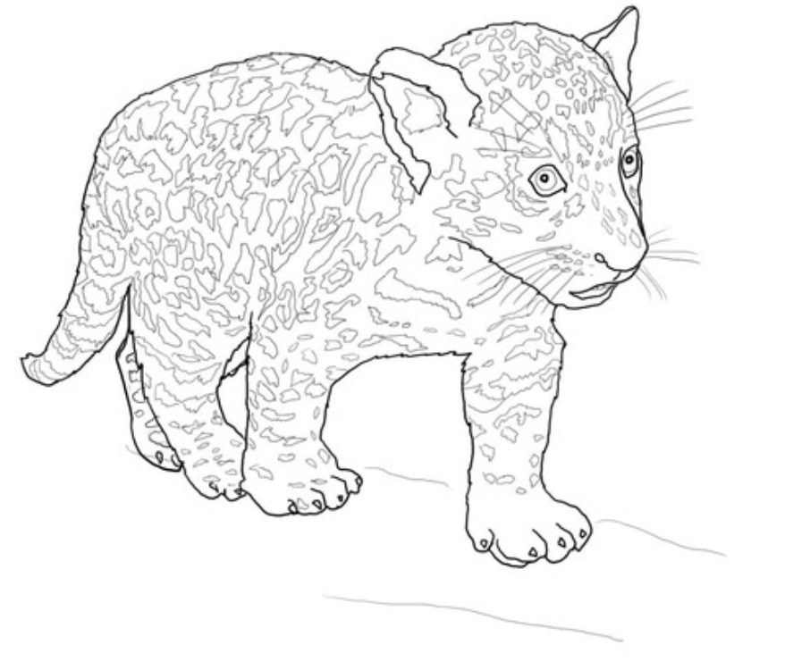 Крутые рисунки ягуара для срисовки 015