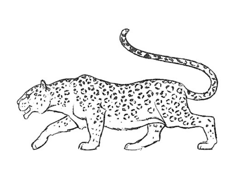Крутые рисунки ягуара для срисовки 017